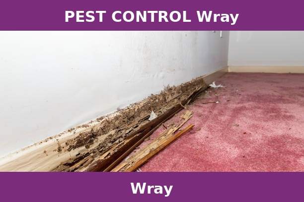 PEST CONTROL Wray